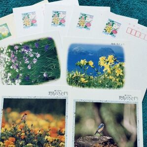 写真付き郵便ハガキ 50円4枚 .41円4枚 おまけ1枚