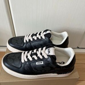 COACH CITYSOLE コート スニーカー サイズ8D(26.0cm)