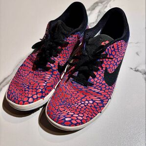 Nike スニーカー サイズ27 NIKESB ピンクと黒 希少