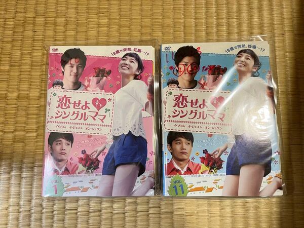 恋せよシングルママ 1~23(14.20無) DVD