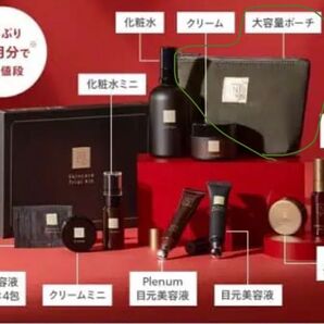 Nオーガニック 大容量ポーチ