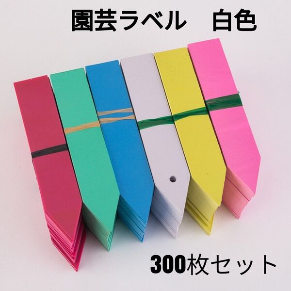 【ラスト1点!】園芸用ラベル 300枚セット 小さい 植物 花 名前 名札 プラスチック