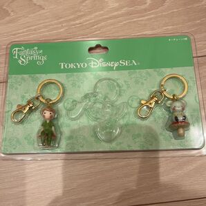 ファンタジースプリングス キーホルダー