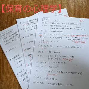 保育士試験 保育の心理学 2025オリジナル問題集
