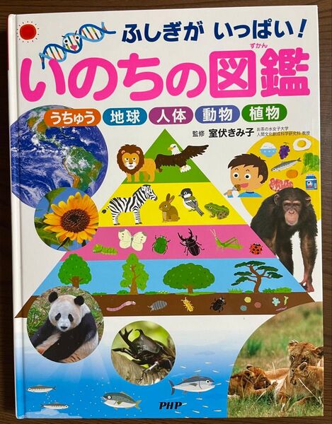 「ふしぎがいっぱい! いのちの図鑑」いのちのふしぎやつながりを、Q&A形式でやさしく解説しています