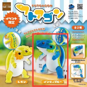 SO-TA フトアゴン イベント限定 インディブルー