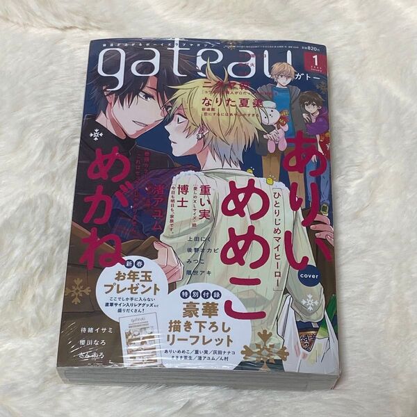 gateau 2023 1月号 表紙 ひとりじめマイヒーロー ありいめめこ