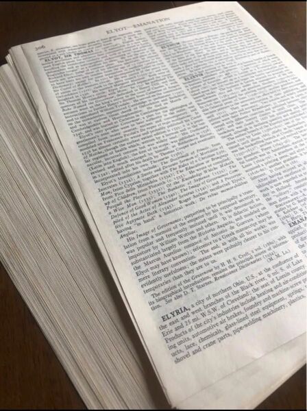 05大きなヴィンテージ洋書切り離し 100枚