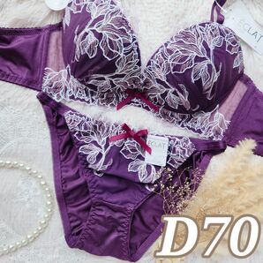 №1209【D70】ダスティリリーエンブロイダリー育乳脇高ブラジャー&ショーツ