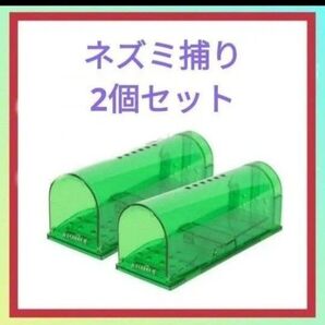 小型ネズミ専用 ネズミ捕り 再利用可能 簡単設置 2個セット
