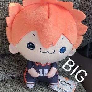 ハイキュー もちぴこ BIG ぬいぐるみ 日向翔陽