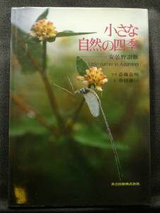 【超希少、初版】古本　小さな自然の四季　安曇野讃歌　斎藤嘉明写真、串田孫一文　共立出版（株）