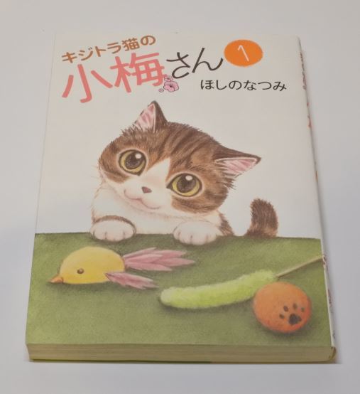 2025年最新】Yahoo!オークション -キジトラ猫の小梅さん(本 2025年最新】Yahoo!オークション -キジトラ猫の小梅さん(本