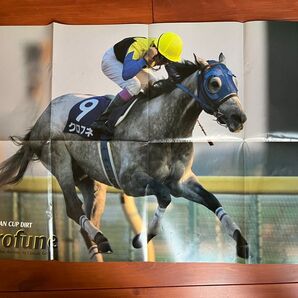 クロフネ ジャングルポケット 両面ポスター 表裏 競馬 サラブレ 雑誌 付録