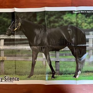 サンデーサイレンス ポスター 競馬 サラブレ 雑誌 付録