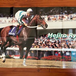 メジロライアン ポスター 競馬 サラブレ 雑誌 付録