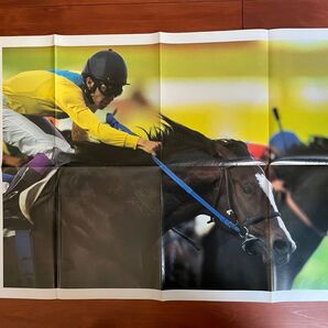タニノギムレット ポスター 競馬 サラブレ 雑誌 付録