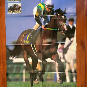 ジャングルポケット ポスター 競馬 サラブレ 雑誌 付録