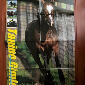 タニノギムレット ポスター 競馬 サラブレ 付録