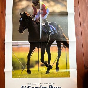 エルコンドルパサー ポスター 競馬 サラブレ 雑誌 付録