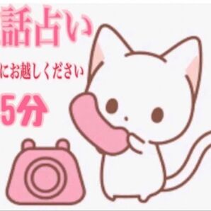 15分電話鑑定 初回の方はこのままお手続きへ