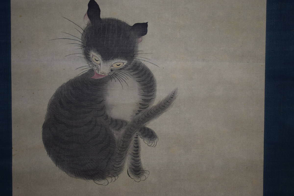[أصيل] // Tousai Seya/Meitokukan/President/Cat Painting مدح/Hoteiya معلقة التمرير HH-88, تلوين, اللوحة اليابانية, الزهور والطيور, الحياة البرية