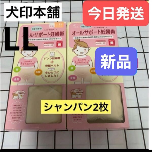 犬印 オールサポート妊婦帯 新品 LLサイズ シャンパン 2枚セット パンツ妊婦帯 犬印本舗 腹帯 妊婦帯 骨盤ベルト一体