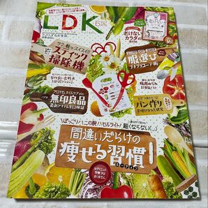 LDK (エルディーケー) 2021年6月号