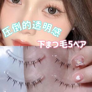 大人気 束感 つけまつげ 下まつ毛 下つけまつげ 5ペア 可愛い 目元 自然 韓国メイク ワンホン 高品質 透明感 新品未使用