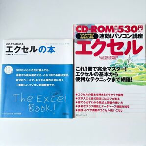 エクセル 基礎・基本の本 2冊セット■Excel