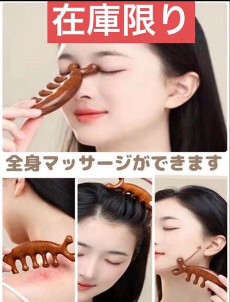 イルカマッサージ カッサ ボディーケア マッサージツールツボ押しグッズ 1本