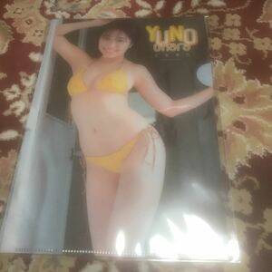  magazine Young animal 2019 year 21 number appendix large . super .B5 clear file only 