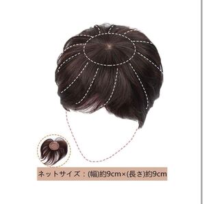 ヘアピース 人毛100% 頭頂部 つむじタイプ 部分ウィッグ 薄毛隠し ポイ ヘアピース ウィッグ 頭頂部 部分ウィッグ