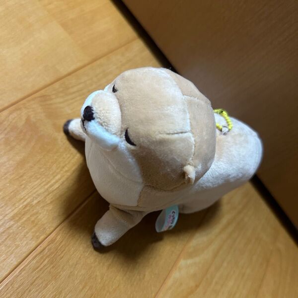 かわうそ ぬいぐるみキーホルダー もちふわ