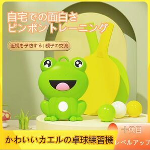 卓球トレーニング 卓球ラケット