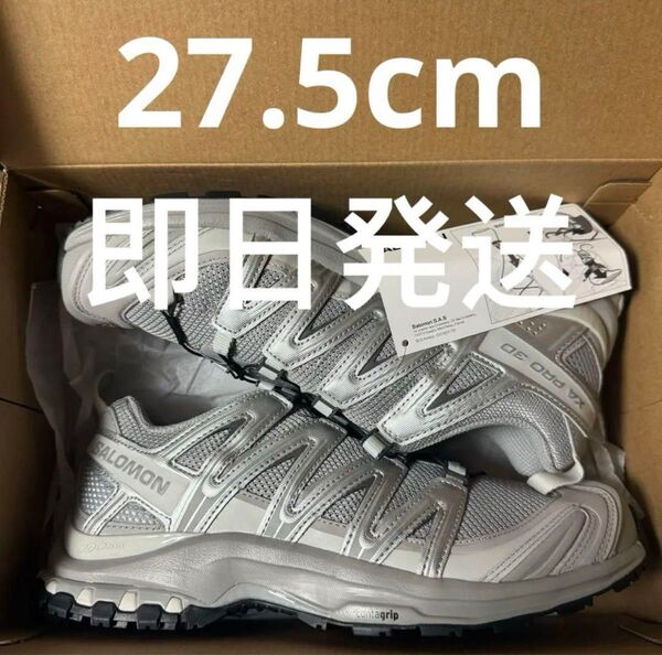 Salomon XA Pro 3D "Alloy/Silver"