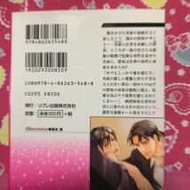 即決 BL小説　桂生青依　覇王の婚儀～聖なる違い～　誘惑の灯は切なく甘く　冷酷マフィアと心読みの凛　僕と子連れ若社長の事情_画像6