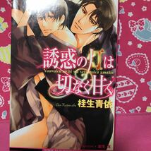 即決 BL小説　桂生青依　覇王の婚儀～聖なる違い～　誘惑の灯は切なく甘く　冷酷マフィアと心読みの凛　僕と子連れ若社長の事情_画像5