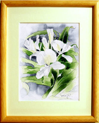 ■ No. 6692 Ginger Flower by Kenji Tanaka / with gift, Painting, watercolor, Nature, Landscape painting