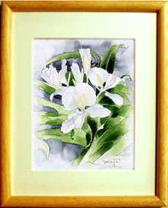 Art hand Auction ■ No. 6692 Ginger Flower by Kenji Tanaka / with gift, Painting, watercolor, Nature, Landscape painting