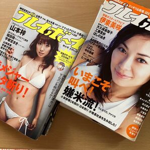 週刊プレイボーイ 10冊 まとめて 伊東美咲 リアディゾン 山本梓 石原さとみ 他