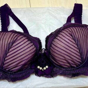 新品未使用 ワコールWing Lesiageブラジャー