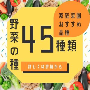 野菜の種 全45種類!1年中蒔ける オールシーズン 超バリエーションセット固定種