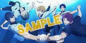  Free! Eternal Summer BD DVD アニメイト 1～4巻連動購入特典タペストリー