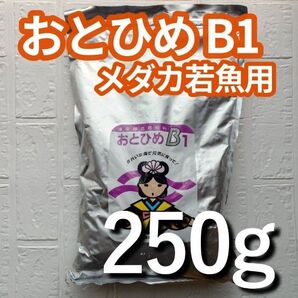 おとひめ B1 メダカ 若魚用エサ 250g 0.2~0.3mm 日清丸紅飼料