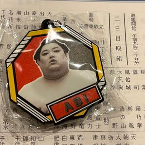 大相撲 ガチャ 阿炎