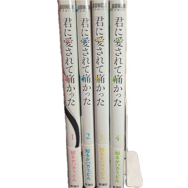 君に愛されて痛かった 1〜4 (BUNCH COMICS) 知るかバカうどん 著