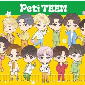 PetiTEEN Vポイントカード Tカード Tポイントカード SEVENTEEN セブチ 新品