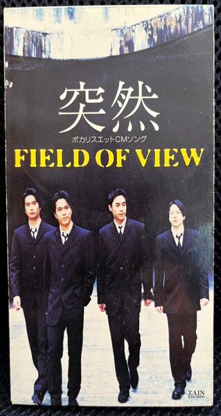 突然 FIELD OF VIEW