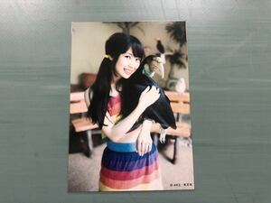 高柳明音 1st写真集 ちゅり 購入特典生写真 SKE48 NMB48